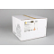 Светильник Omnilux OML-99336-01