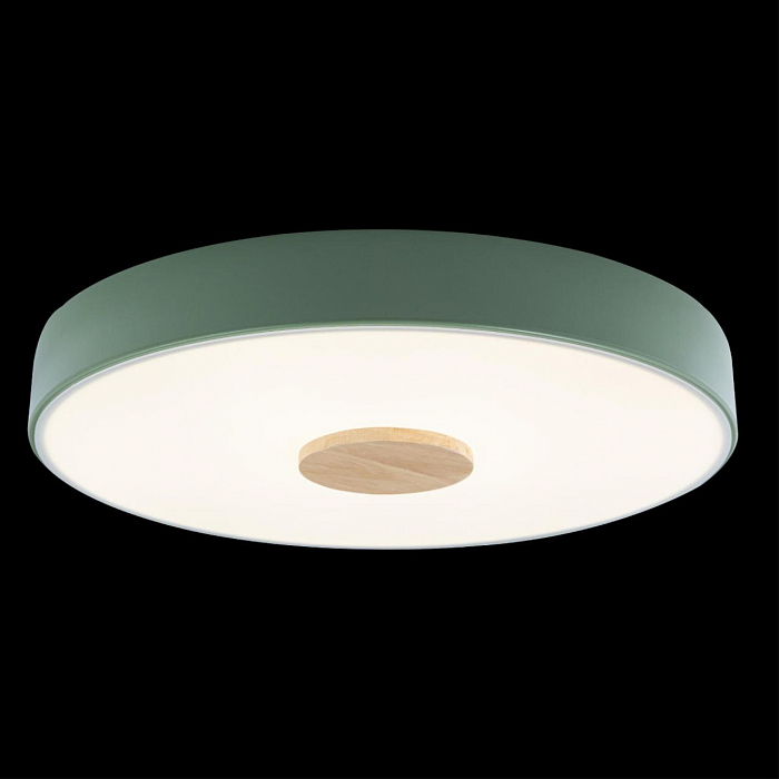 Светильник LOFT IT 10003/24 Green